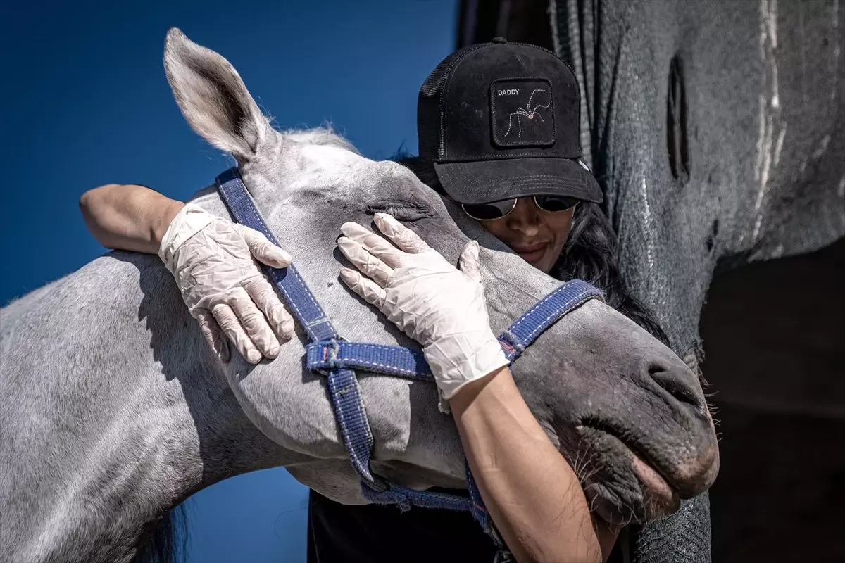 erzurumda atli safari ile stres atma keyfi SONzEeu2