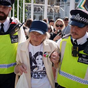 ingilterede 365 filistin yanlisi goz altina alindi AFW626H1