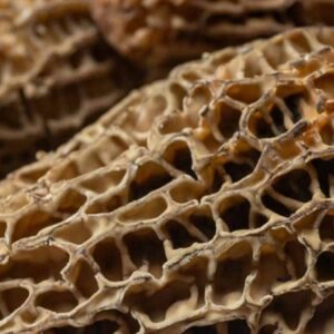 koyde her 25 kisiden 2si als hastasi nedeni ortaya cikti 20 yildir ayni mantari yiyorlarmis c1v4BLw1