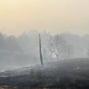 mahalleli yangina kovayla mudahale TulmEMbO