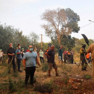 tarihlerindeki en buyuk orman yanginlari ispanya ve portekiz alevlere teslim VsWCfjlj