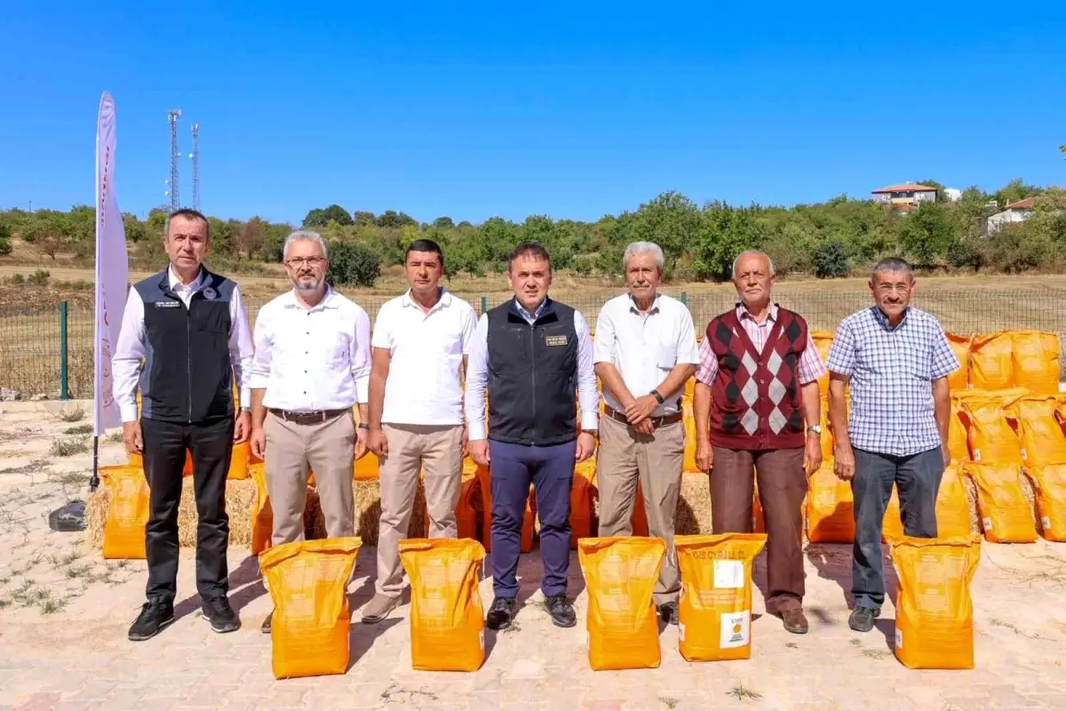 bilecikte kanola tohumu dagitimi yapildi th2QKk1t