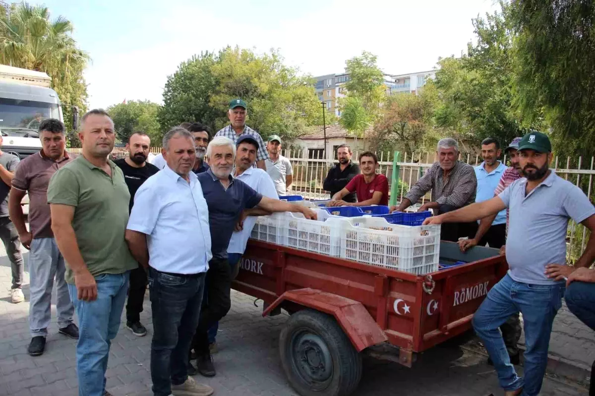 incir alimlari tuccar sorunu nedeniyle durduruldu 4YYPV5mW