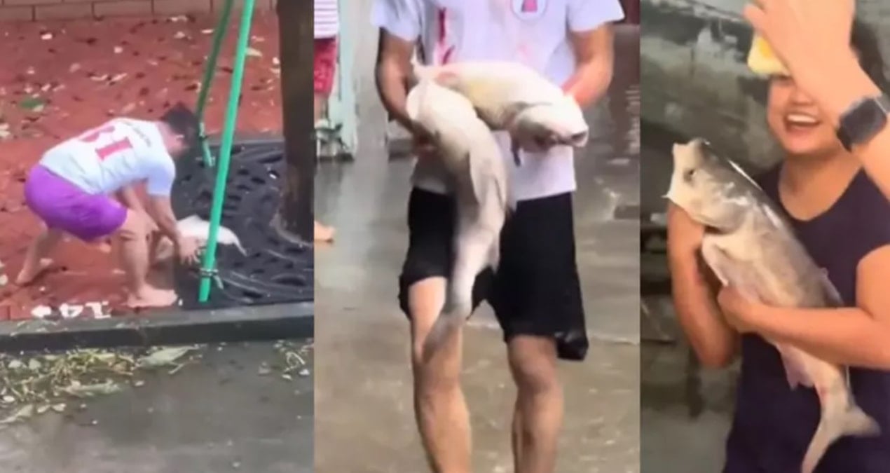 sokaklar balikla doldu kocaman baliklari kucaklayip eve goturduler NJUncUZJ