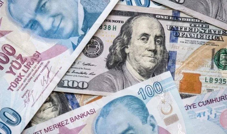 tcmb verileri aciklandi firmalarin doviz acigi 1826 milyar dolar oldu OFszMX8f