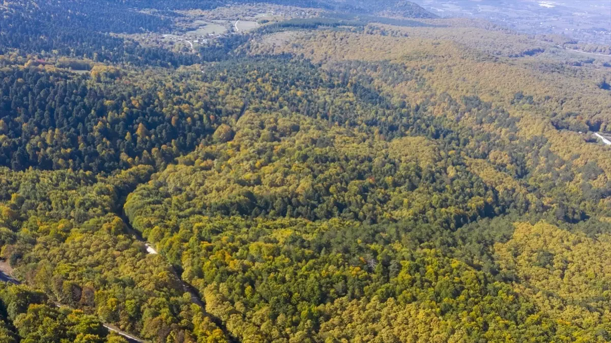 boluda sonbahar guzelligi yIk8uWiE.jpg