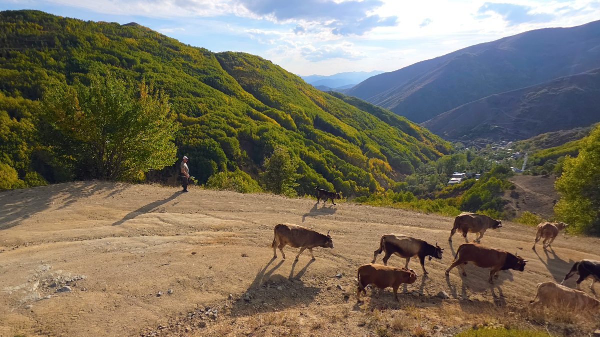 gumushanede sonbahar yuzunu gosterdi 7tmSVyI2