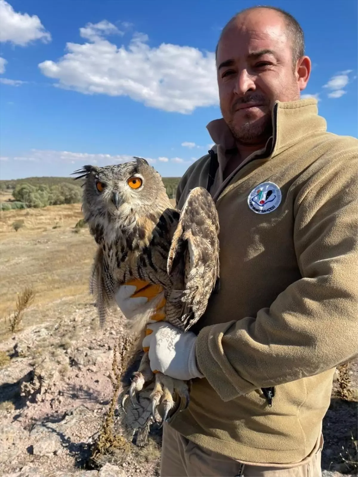 yarali puhu kusu tedavi edildi 5UbI4D2p