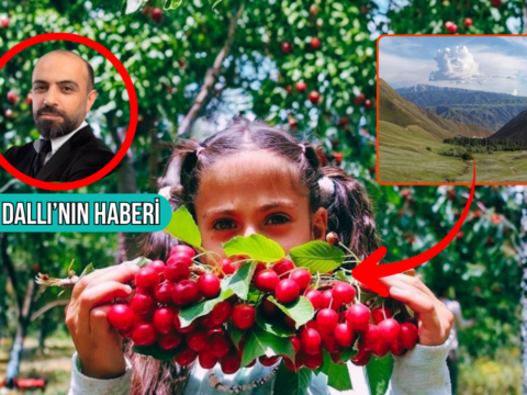 Ozbekistanin fergana vadisinde ilk kez turkiyeden ihrac edilen seftali kiraz kayisi ve erigin hasadi pCkwDCpT